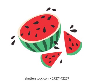 Half of watermelon with slices and seeds. Bright juicy summer fruit. Colored flat vector illustration isolated on white background