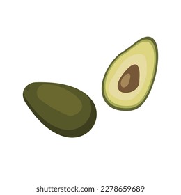 A half and a whole avocado on a white background is isolated. Hand drawn style