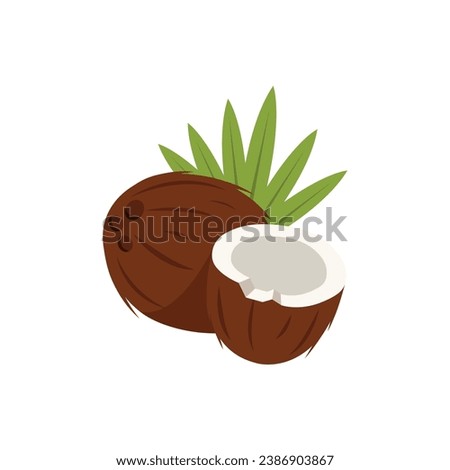 Half And Whole Coconut Icon Vector Design.
