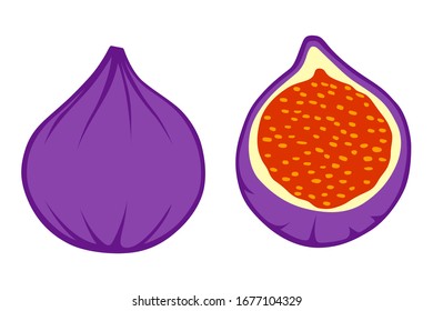 Ilustración vectorial de higos frescos medio y entero aislados en fondo blanco
