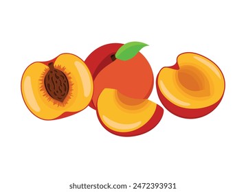 Half, whole and slice fresh peach fruit icon vector. Ripe peaches icon set on a white background. Peach cut in half drawing. Peaches still life illustration. Template for background, banner, card