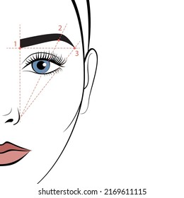 Half of the woman's face with an eyebrow scheme. How to properly pluck eyebrows.