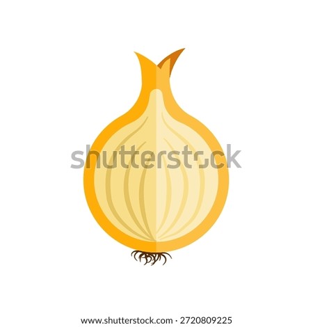 Half of yellow onion showing layers = vector illustration