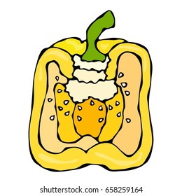 Half of Yellow Paprika, Bell Pepper or Bulgarian Pepper. Realistic and Doodle Style Hand Drawn Sketch Vector Illustration.Isolated On a White Background.