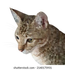 Half-body, side view of an adult gourami cat, erect ears, looking at something below. Vector low poly style on white background.
