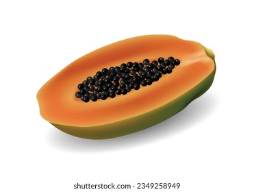 Halfcut papaya design. EPS 10 vector illustration.