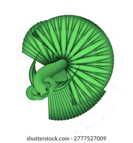 Halfmoon green betta fish ilustration vexel vector design