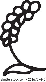 Oreja semiredonda de trigo en blanco y negro