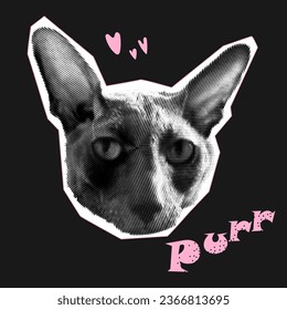 Halfton style cat. Trendy cat illustration for advertising, poster, poster, dog food