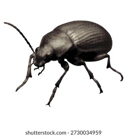 Halftone Beetle Close-Up – Ilustração de inseto com padrão de ponto estilizado para arte pop retrô, design inspirado na natureza e merch moderno