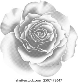 Halftone bitmap grunge dot texture photocopy effect rose flower