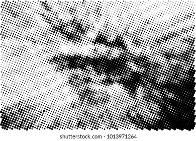 Halftone black and white grunge. Texture of dots scattered on a white background. Abstract pattern in vintage art style print on business cards, badges, labels. Vector monochrome elements