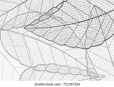 Halftone black and white leaf pattern abstract layout. Vector illustration