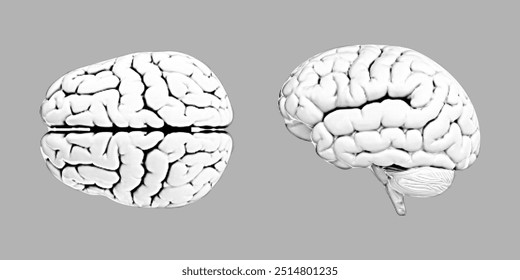 Halftone brain set top and side view. Human brain shapes isolated on gray background. Modern halftone design. Vector illustration.
