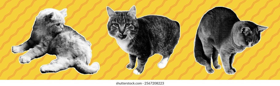 Halftone cats set. Trendy collage elements in retro pop art style