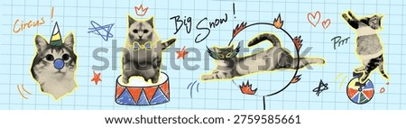 Halftone circus doodle cats on grid background. Vector realistic illustration of funny pets playing with hand drawn clown nose, jumping through a ring of fire, cute pet meme art, collage stickers