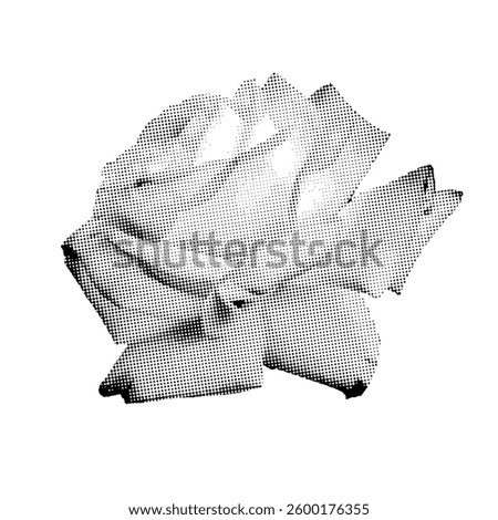 Halftone close-up of a blooming flower, black and white botanical print of rose. Vector illustraion for posters, textiles, and graphic design.