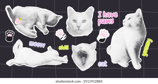 Halftone Collage of Cats with Fun Text and Paw Stickers