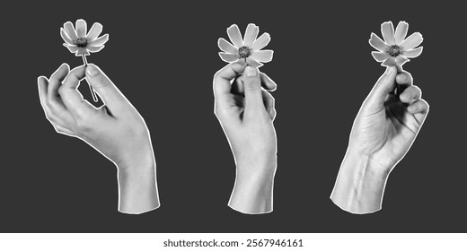 Halftone collage hands holding flowers, paper cut elements on dark background, PNG zine palms, set of gestures.