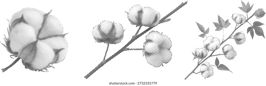 Ilustrações de flores de algodão de meio-tom com caules e folhas em preto e branco. Estilo botânico vintage com sombreamento pontilhado e detalhes finos. Ideal para têxteis, embalagens, etiquetas ou desenhos retrô.