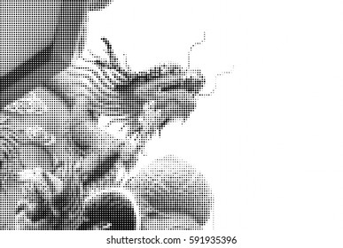 Halftone dot graphic of Generic Chinese dragon sculpture on the roof