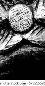 Halftone Dots Pattern . Halftone Dotted Grunge Texture . Abstract Dots Overlay Texture . Light Distressed Background with Halftone Effects. Ink Print Distress Background . Dots Grunge Texture. Vector.