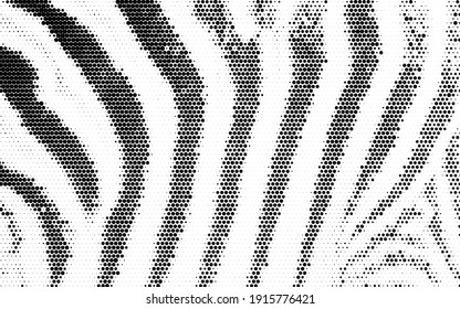 halftone dots vector geometric illustration on white background from zebra skin texture 