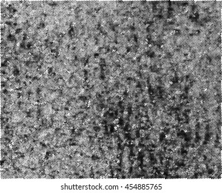 Halftone dots vector texture background