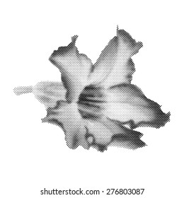 Halftone effect Desert Rose Flower,Vector Design illustration