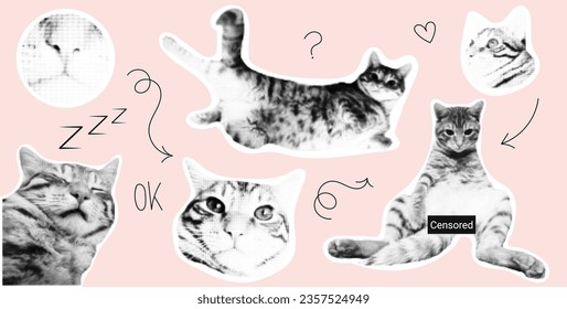 halftone effect. Punk collage made from elements. Cat, animal, pet from different angles, different poses, funny. Vector illustration. Retro style, vintage, magazine clippings