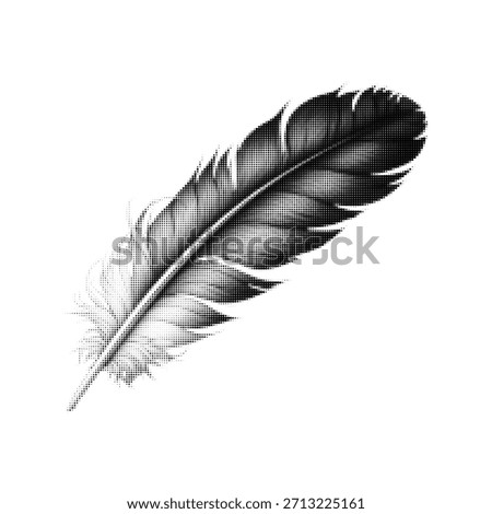 Halftone feather illustration in black and white. Vintage dot texture plume isolated on white background, minimal graphic design element for print, branding, tattoo, poster or editorial use.