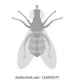 Halftone Fly Icon Isolated on White Background. Pest Symbol in Engraving Style