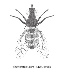 Halftone Fly Icon Isolated on White Background. Pest Symbol in Engraving Style