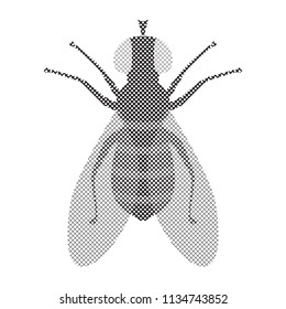 Halftone Fly Icon Isolated on White Background. Pest Symbol in Engraving Style