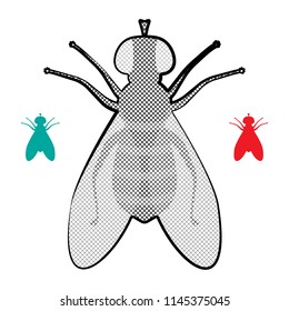 Halftone Fly Icon Isolated on White Background. Pest Symbol in Engraving Style