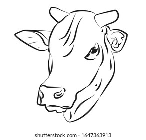 Halftone The front of the cow is white and black, with smooth, beautiful stripes.vector.