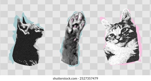 Conjunto de collage de grano de semitono con gato y pata de gran diseño para cualquier propósito. Textura de Vector grunge. Arte moderno.	