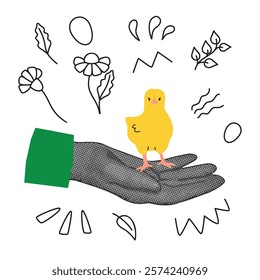 Halftone hand holding cute chicken. White background with doodle elements. Retro style objects for banner, card, poster. Vector collage of linear icons, yellow character and gray tones human palm.