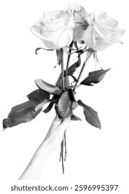 Halftone Hand With Roses Bouquet Vector Illustration