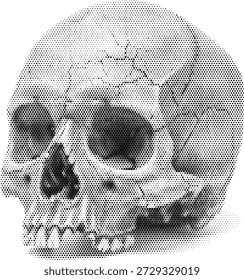 Calavera humana de semitono sin ilustración de mandíbula para temas de diseño de horror de anatomía