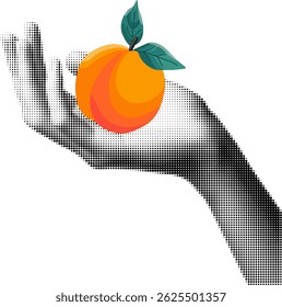 Halftone illustration of hands gently holding a ripe apricot, vintage comic book style, black and white dotted texture, retro pop art design, isolated on white background, summer fruit concept, symbol
