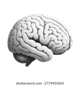 Ilustración de medio tono de un cerebro humano en blanco y negro, mostrando pliegues detallados y estructura sobre un fondo blanco limpio.