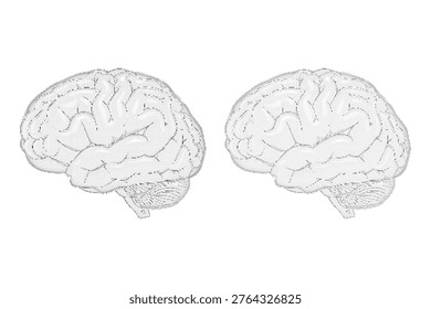 Halftone illustration of two human brains side by side on a pure white background, created using a grid pattern of small dots, giving a textured appearance.