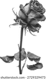 Ilustración de rosa de tallo largo de semitono para temas de diseño romántico y floral