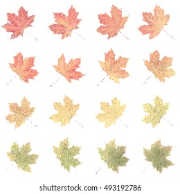 halftone maple leaf