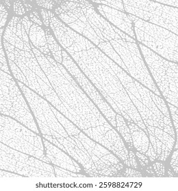 Halftone monochrome grunge vertical lines texture. Abstract decorative background with straight stripes.Chaotic graphic pattern. Vector illustration of seamless pattern , Abstract geometric background