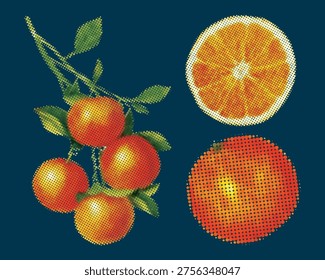 Colección frutas naranja semitono
