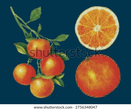 Halftone Orange Fruit Collection - Set of Fresh Citrus Slices, Whole Oranges on Branch with Leaves - Retro Dotted Pop Art Style Vector Graphic for Summer Food Menu and Juice Branding