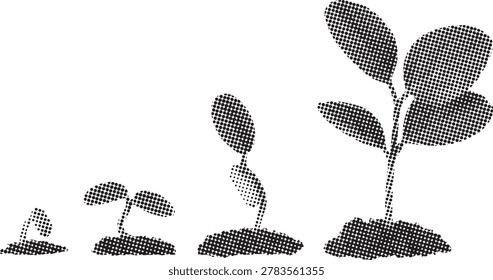 Halftone plant growth sequence. Stages of seedling evolution. Botanical life cycle. Dotted organic growth progress.