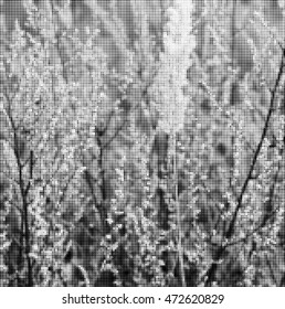 Halftone plants